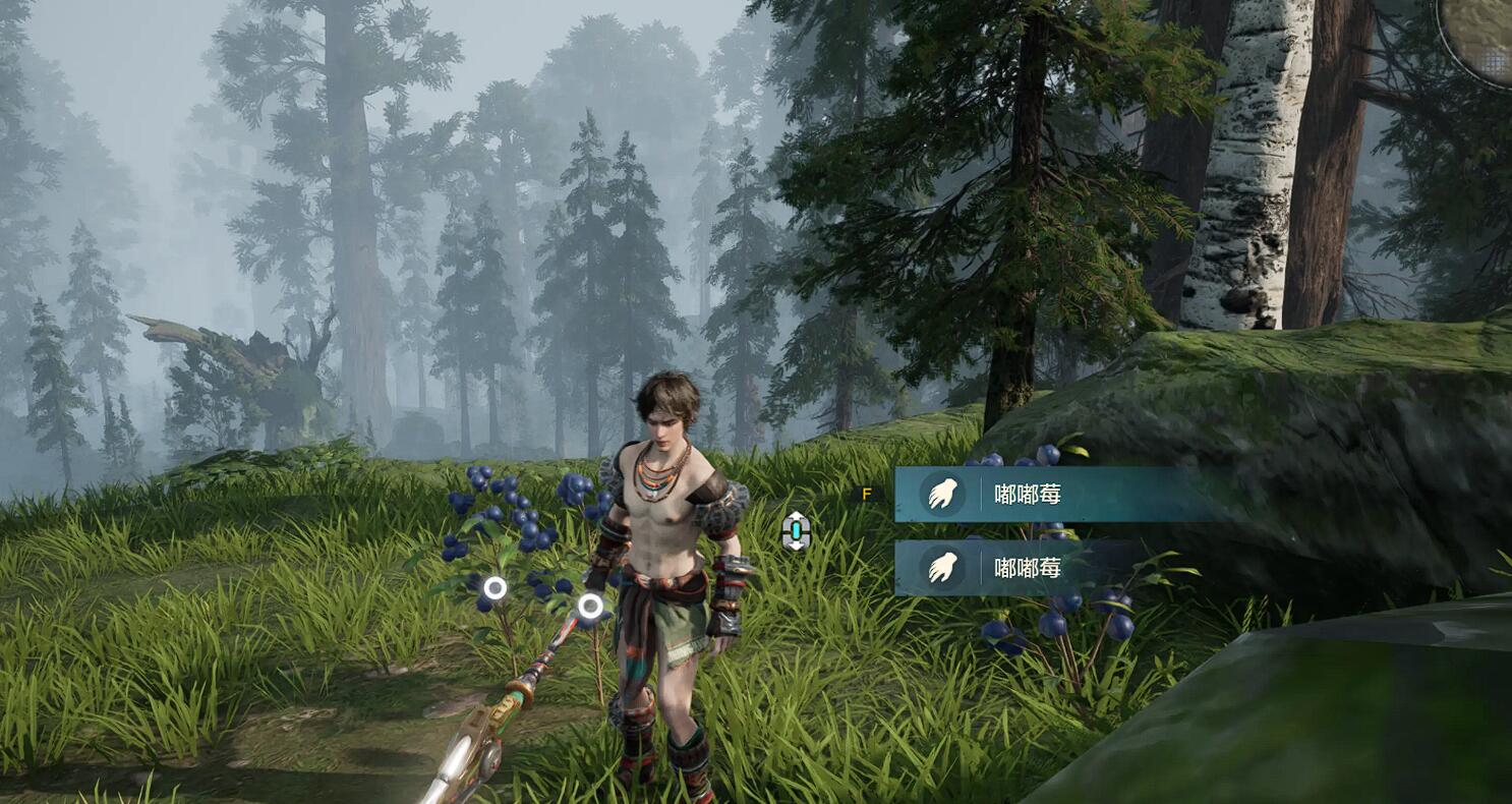 熒光菇種植區(qū)域