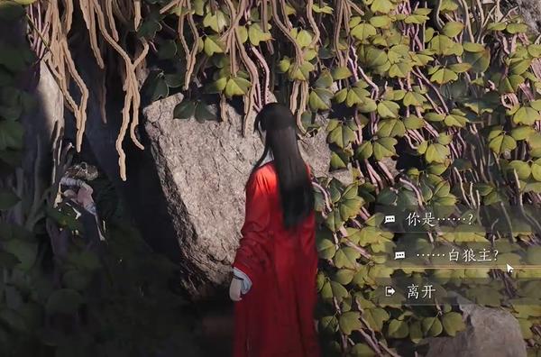 與白狼主對話