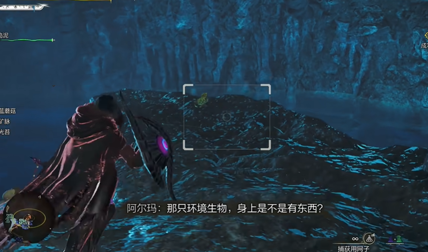 古盞蟹捕捉示意圖