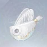 無限暖暖提包魚獲取全攻略