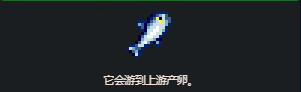 星露谷物語,如何收集鮭魚?攻略分享