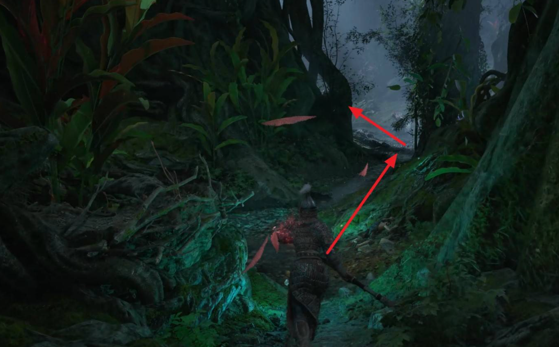 樹(shù)屋區(qū)域