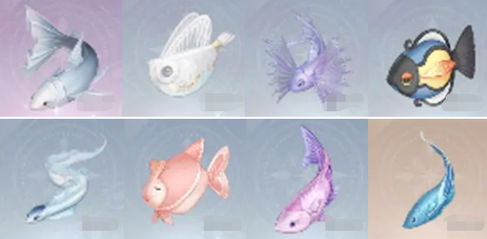 高價值魚類示意圖