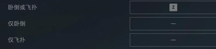 飛撲設(shè)置界面截圖