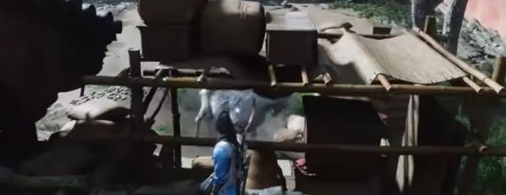 馬匹弱點攻擊位置示意圖