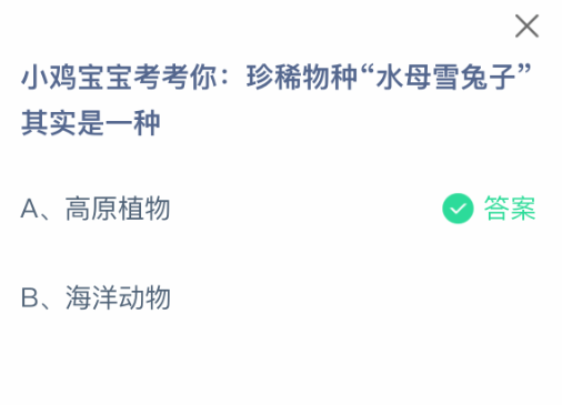 水母雪兔子是哪種植物?支付寶莊園2月22日答案