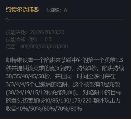 W技能說明