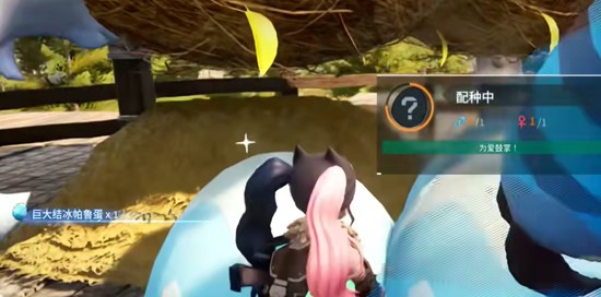 雙層牧場(chǎng)最終結(jié)構(gòu)