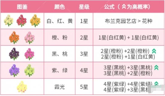 5星霞光示意圖