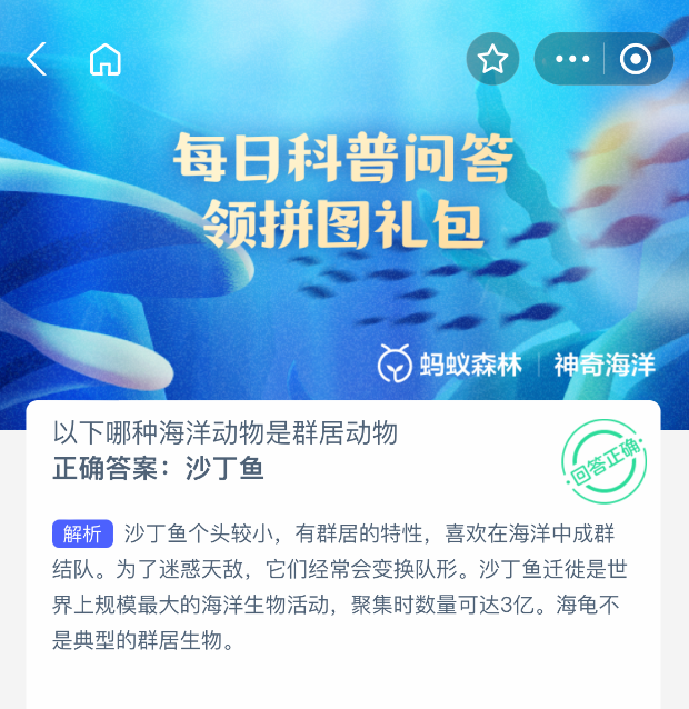 沙丁魚群居示意圖