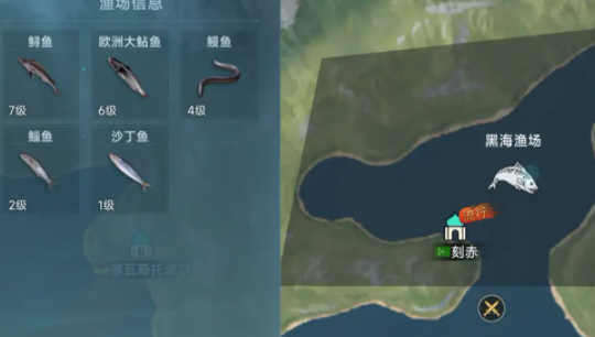 東地中海漁場