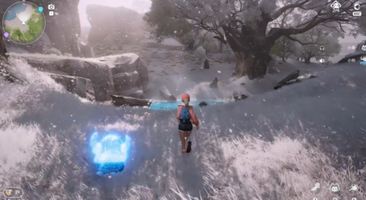 反光型寵物示意圖