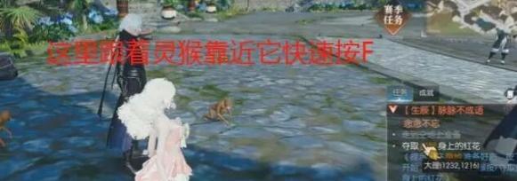 獲取紅花