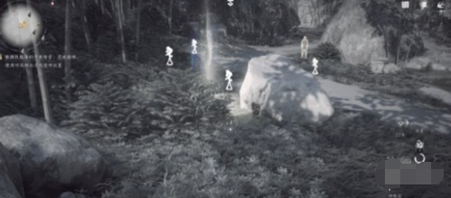 觀察狀態(tài)示意圖