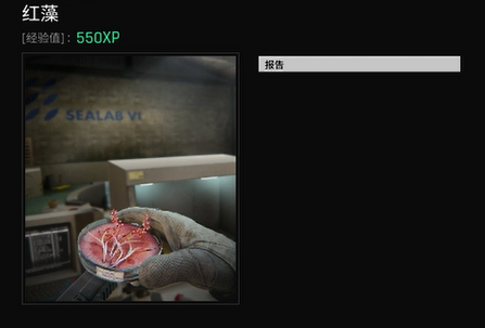 植物學(xué)主題界面