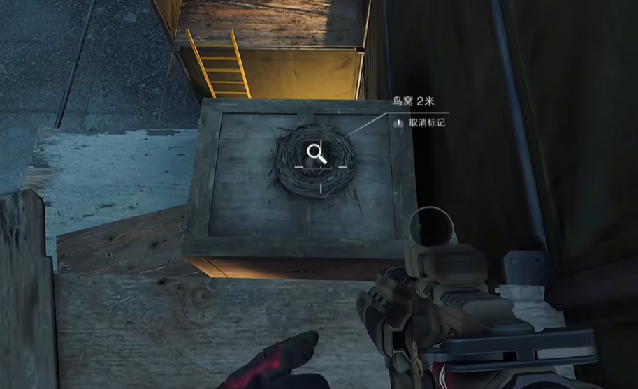 紅色鐵皮房鳥窩位置