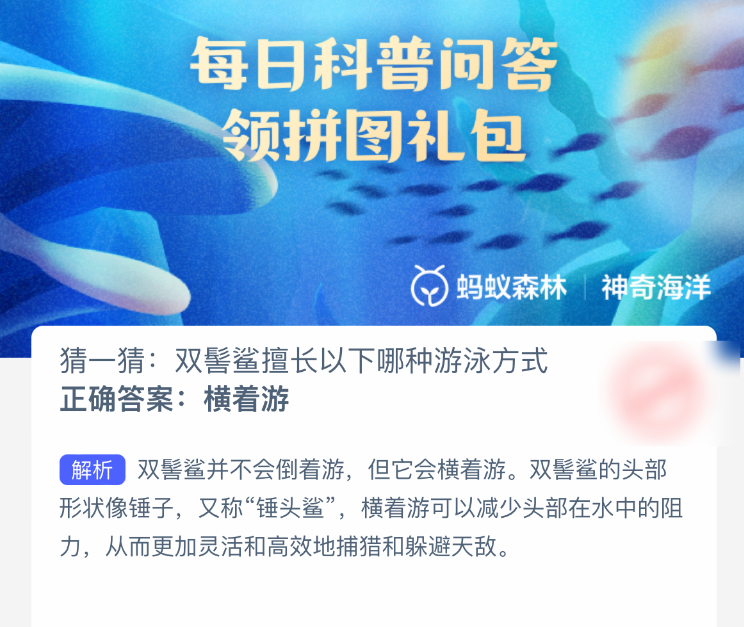 雙髻鯊擅長哪種游泳方式?神奇海洋今日答案