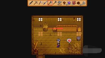 雞舍放養示意圖