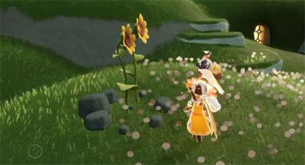 第2株向日葵位置