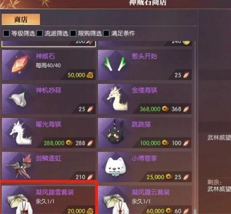 逆水寒手游：凝風踏雪時裝獲取攻略，神威石商店購買全解析！-景澄手游網
