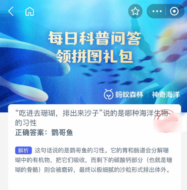 神奇海洋答案：鸚哥魚，吃珊瑚排沙子的海洋小能手-景澄手游網(wǎng)