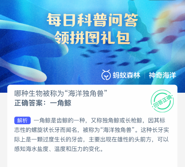 一角鯨示意圖