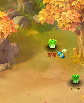 絲綢之路野菜位置