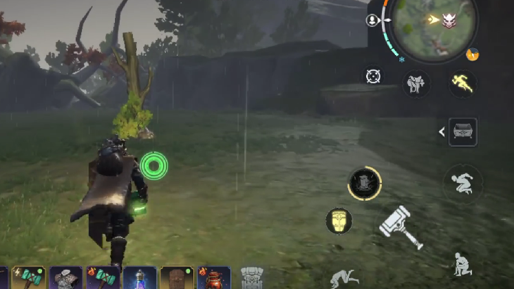 喚雨者大樹外觀