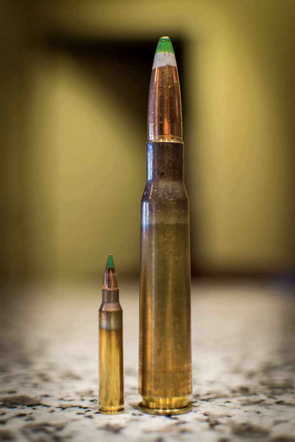 .50 BMG子彈尺寸對比