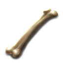 骨粉獲取示意圖