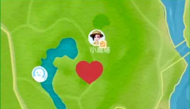 露營小橘雀實拍示例