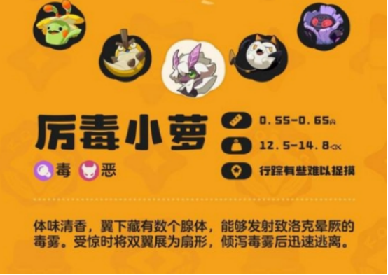陣容搭配示意圖