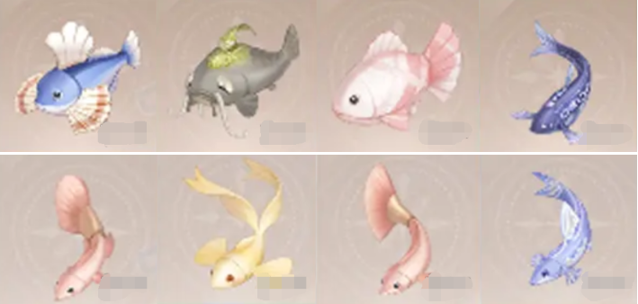 稀有魚類示意圖