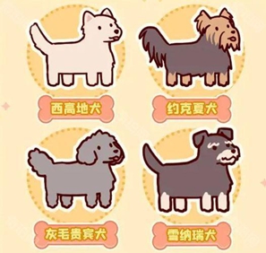 我的休閑時光萌寵樂園課程獎勵有啥?快來瞧瞧