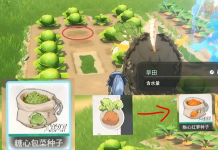 水田系統(tǒng)示例