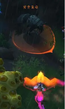 巢母位置示意圖