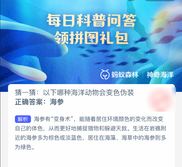 海參變色偽裝示意圖