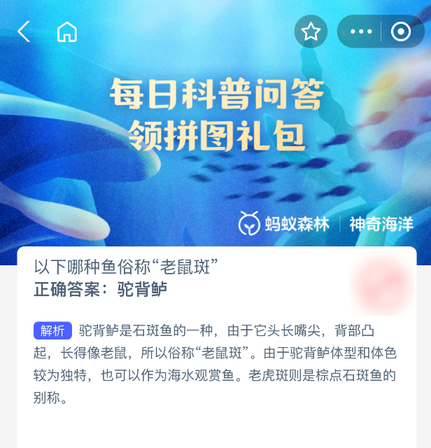 以下哪種魚俗稱“老鼠斑”？探索神奇海洋：今日問題與答案-景澄手游網