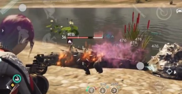 鱷魚蛋孵化與飼料示意圖