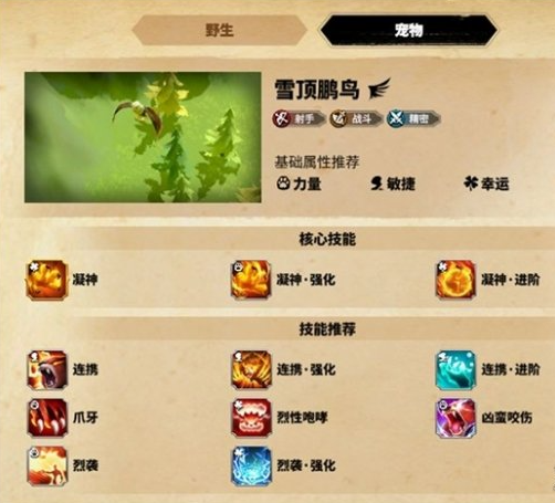 萬龍覺醒森尼因多寵物怎么選?攻略來幫你