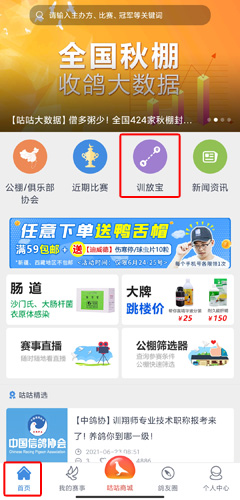 咕咕信鴿訓放:3秒生成賽線,比等外賣還快-景澄手游網