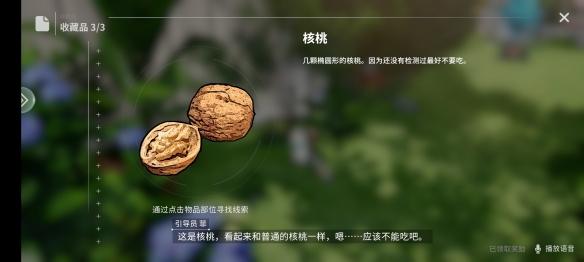 核桃特寫圖