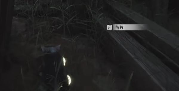 老鼠捕捉示意圖