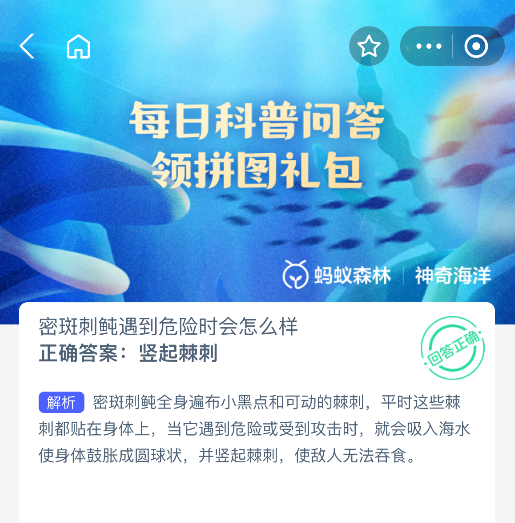 神奇海洋答案：密斑刺鲀遇險秒變