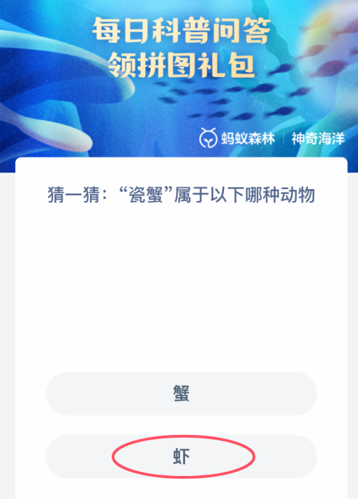 瓷蟹屬于哪種動物?螞蟻森林答案20250220揭曉
