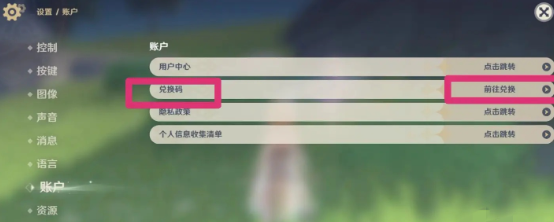 兌換碼輸入界面示意圖