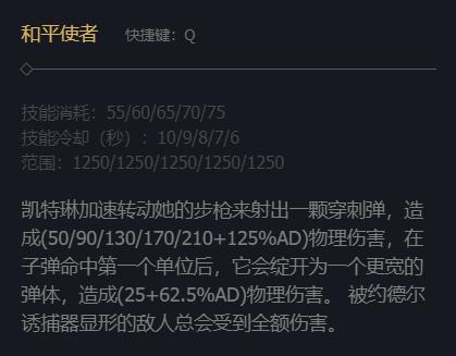 Q技能說明