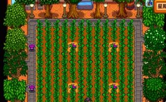 不同作物釀酒收益對比