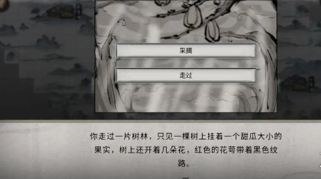 甜瓜果實(shí)