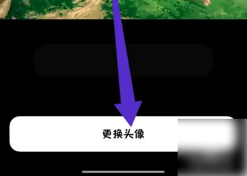 更換頭像界面